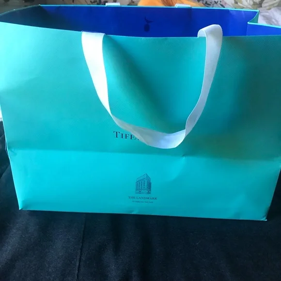 Tiffany & Co. Two large shopping bags and Landmark charm - Picture 11 of 12